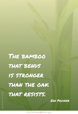 Bamboo Quotes