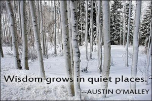 Quiet places wisdom quotes