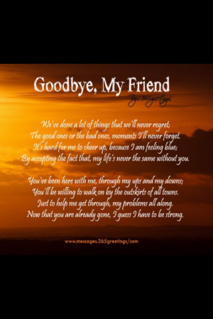 Goodbye My Friend