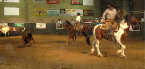 Feel is all the horse has to go on.