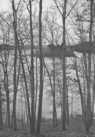 ... : Herbert Gleason, from The Writings of Henry David Thoreau, 1906