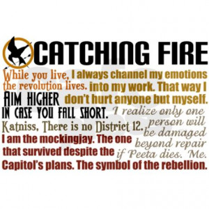 catching_fire_quotes_rectangle_magnet.jpg?height=460&width=460 ...