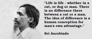 Sri aurobindo famous quotes 3