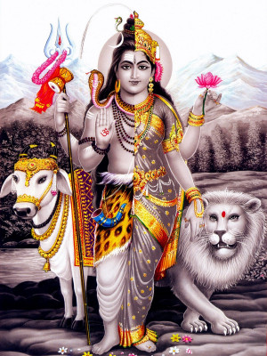 Lord Shiva and Parvati combine picture