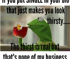 Kermit the Frog None of My Business