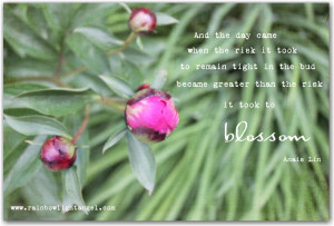 blossom quote with peony