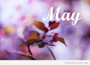 Hello may spring quote