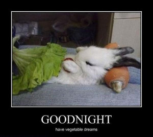 Good Night - Return to Funny Animal Pictures Home Page