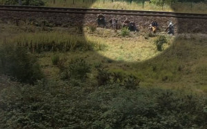 ... sign petition demanding Iain Duncan Smith resigns over fake quotes