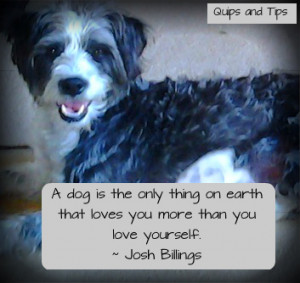 How You Say Goodbye Quips