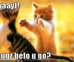 Tagged with hug cat quote sweet