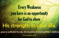 Other Resolution Hdwallpaperhd Wallpaper Happy Holidays Backgrounds