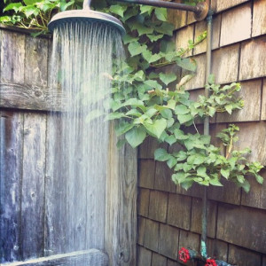 restore my outdoor shower this year....for sure. I have a big shower ...