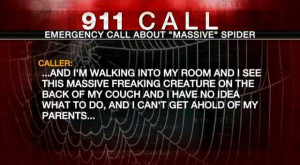 ... teenage girl sensibly called 911 to report 'massive freaking' spider