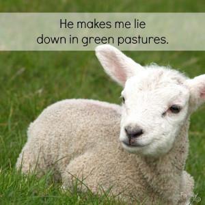 be in want. He makes me lie down in green pastures, He leads me beside ...