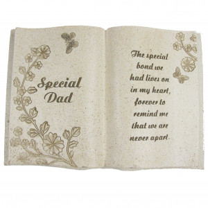 Special Dad Memorial Funeral Grave Stone Book Plaque Enlarged Preview