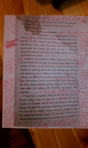 ... Red Pen Exploded On This Page From Suzanne Collins’ THE HUNGER GAMES