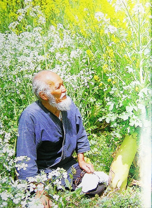 Masanobu Fukuoka y la Agricultura Natural