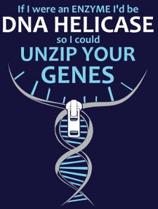 if-i-were-an-enzyme-id-be-dna-helicase-so-i-could-unzip-your-genes-t ...