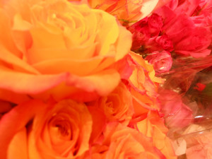 ... quotes from women orange flowers abundant life bloom girl bloom