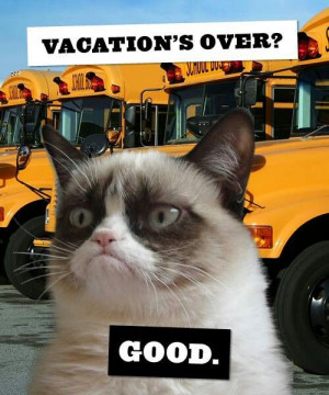 Vacation's over? Good.