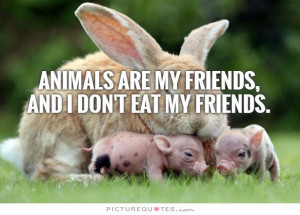 Friend Quotes Animal Quotes Vegetarian Quotes Animal Rights Quotes