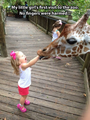My Little Girl’s First Visit To The Zoo No Fingers Were Harmed