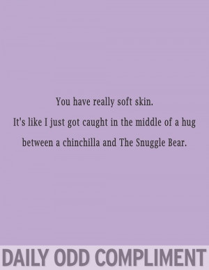 ... Hug Between A Chinchilla & The Snuggle Bear! ~Daily Odd Compliments