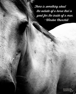 Cowgirls And Horses Quotes All the pretty horses,