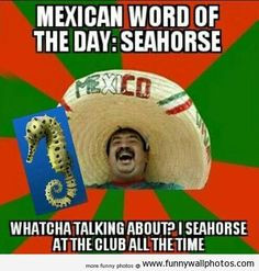 Mexican word of the day More