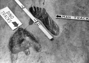Human Footprint Fraud