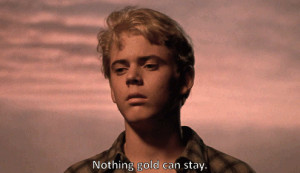 The Outsiders Quotes