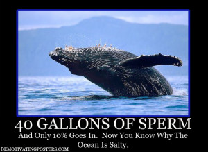 ... , demotivational posters, funny posters, posters, whale, sperm, ocean