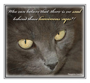 Quotes About Cat Lovers
