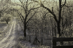 cold ground makes you be so hard freezing rain freezing rain your ...