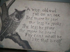 Wise old owl
