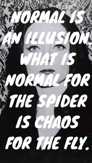 What is normal for the spider is chaos for the fly...