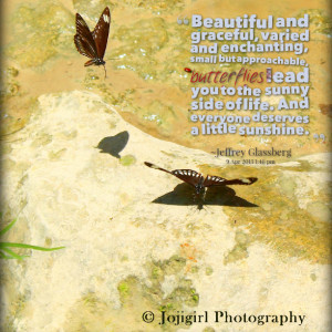 Quotes Picture: beautiful and graceful, varied and enchanting, small ...