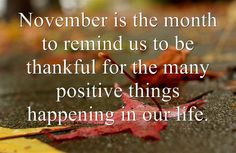November Quote life, quotes, book, wisdom, true, thought, inspir ...