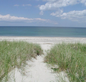 Pinned by Cynthia Hunt