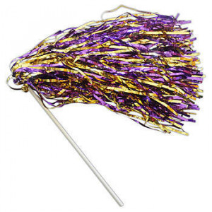 Spirit Supplies gt gt Pom Poms gt gt Fan Pom Poms