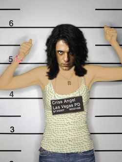 Home » Search results for 