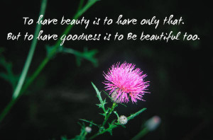 ... beautiful soul. Here I have compiled some beauty quotes which help you