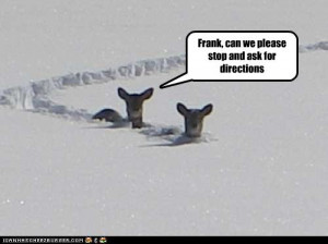 When I saw this, I laughed out loud. don’t know what it’s like in ...