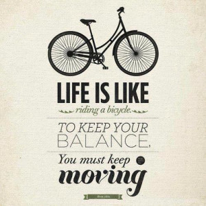 Just Another Funny Quotes and Sayings Compilation