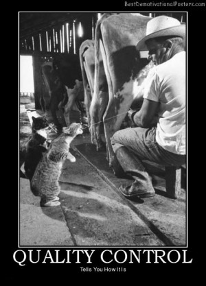 quality-control-cow-cats-best-demotivational-posters