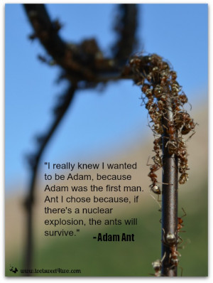 really knew I wanted to be Adam, because Adam was the first man. Ant ...