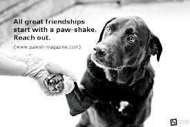 pet love quotes - Google Search
