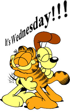 Garfield For Wednesday Quotes. QuotesGram