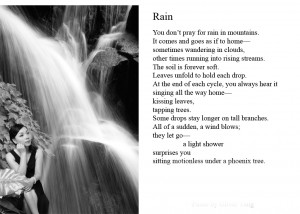 ... to pinterest labels beautiful rain poems exclusive rain poems lonely